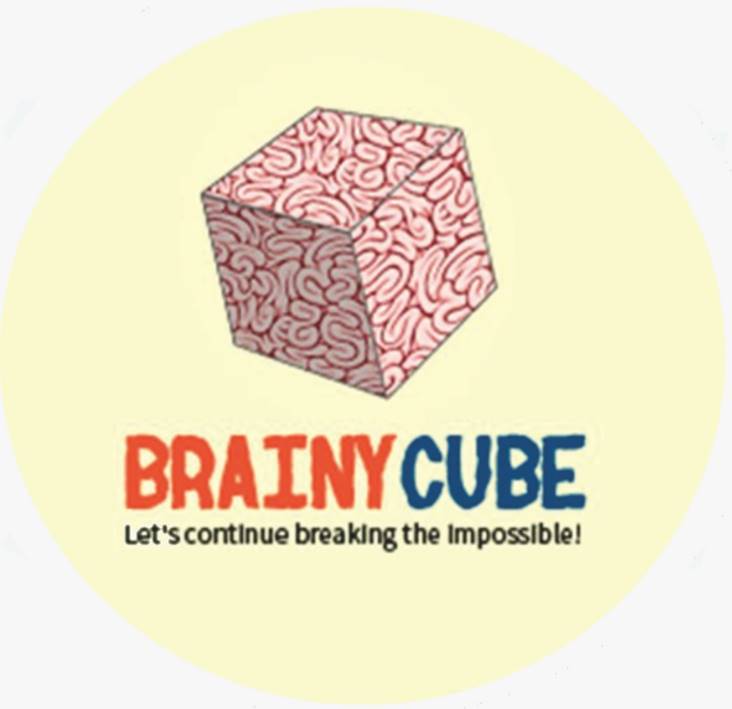 Brainy Cube